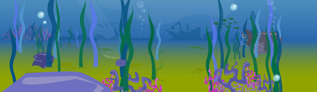 Sea Turtle